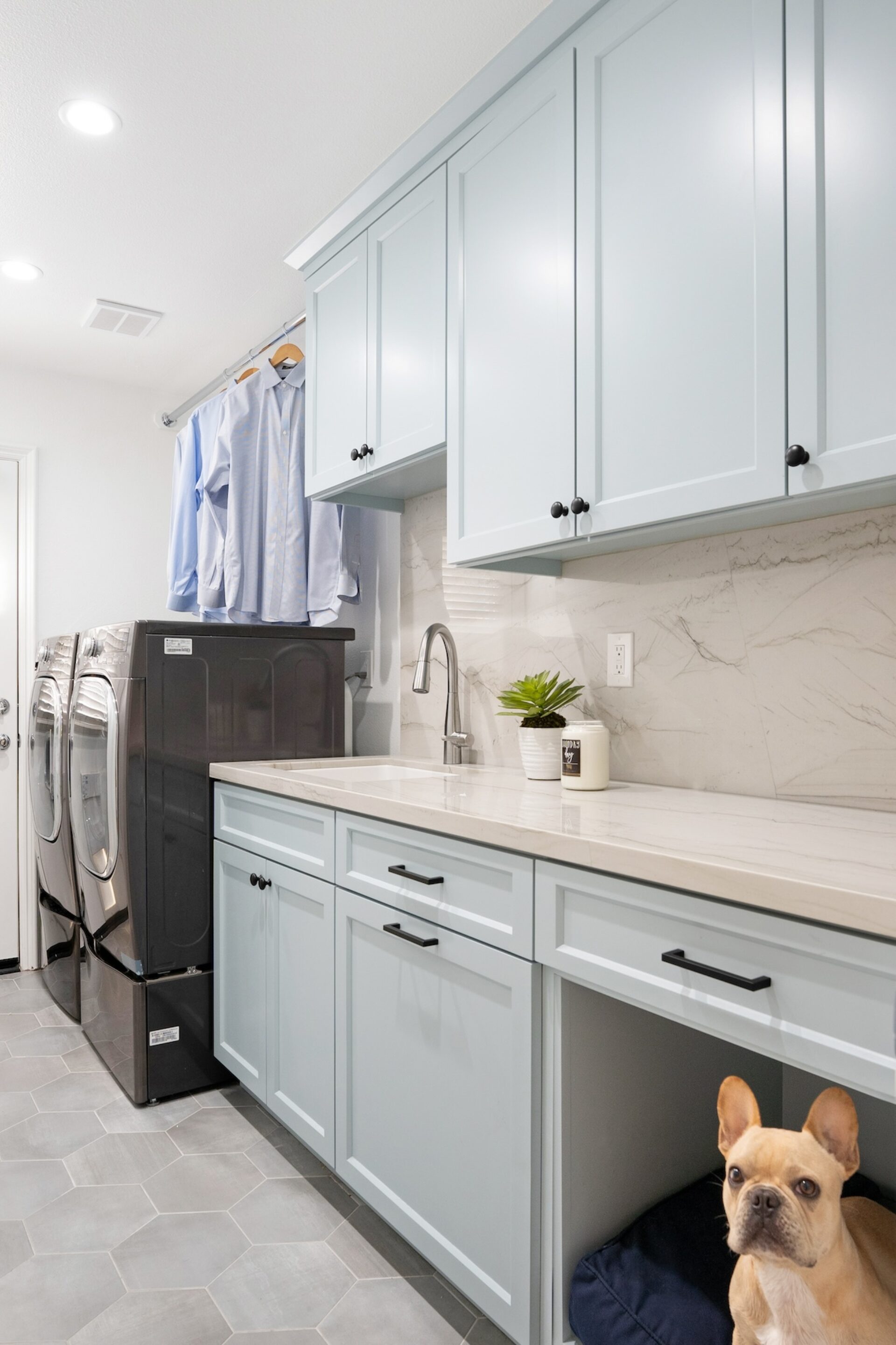 French Bulldog In Laundry Room