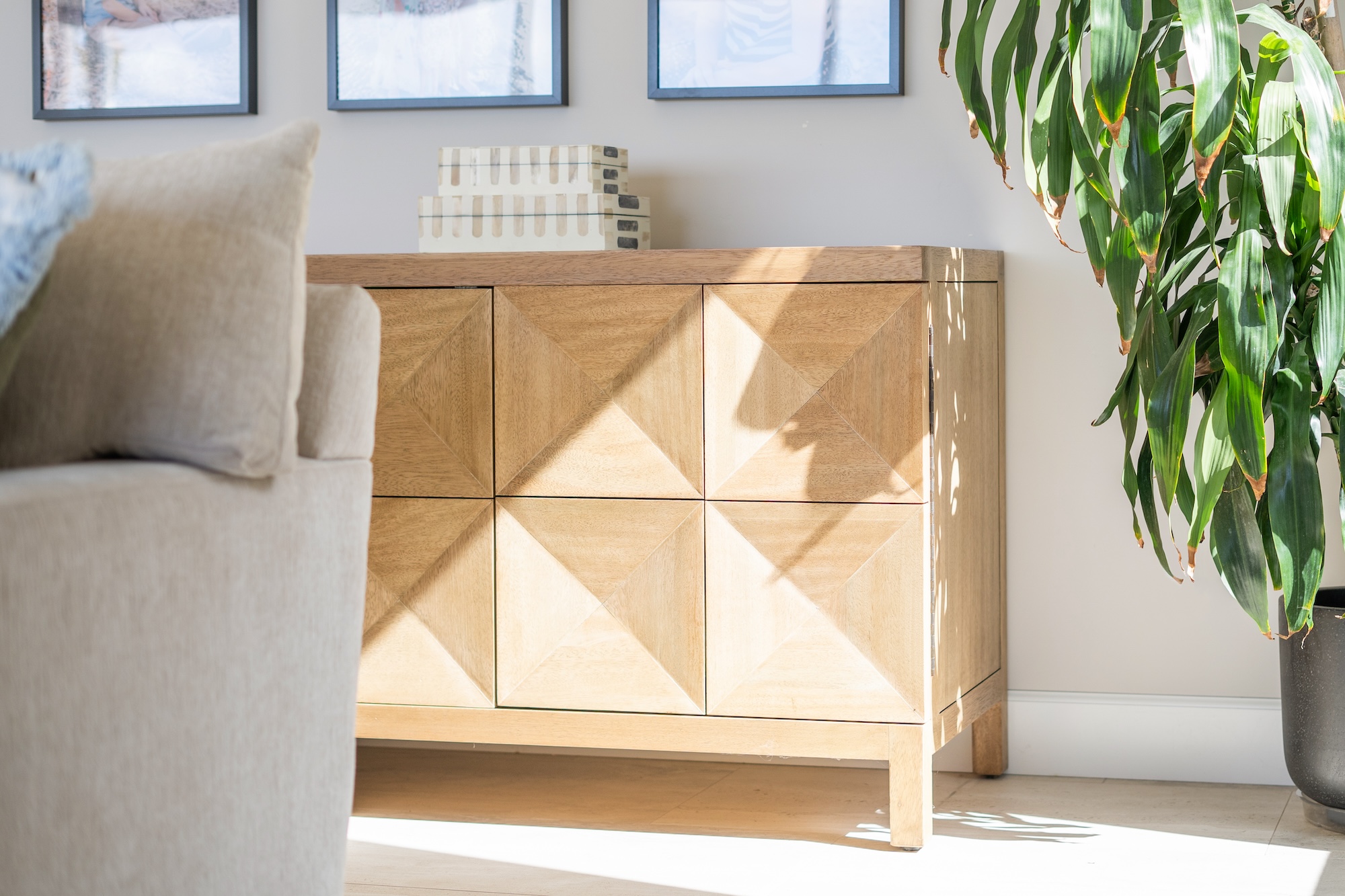 Light Sideboard With House Plant
