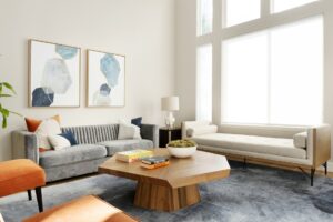 San Diego Ca Colorful Living Room Interior Design