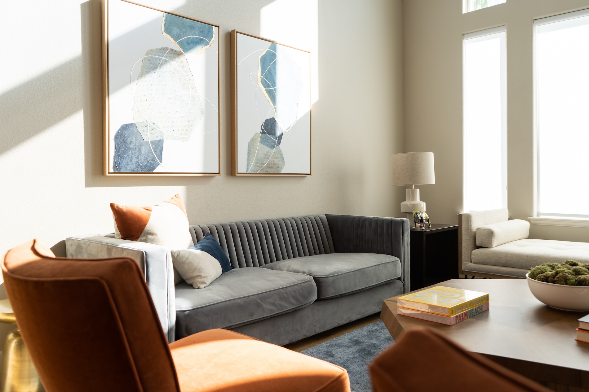 San Diego Living Room Interior Design Furnishings